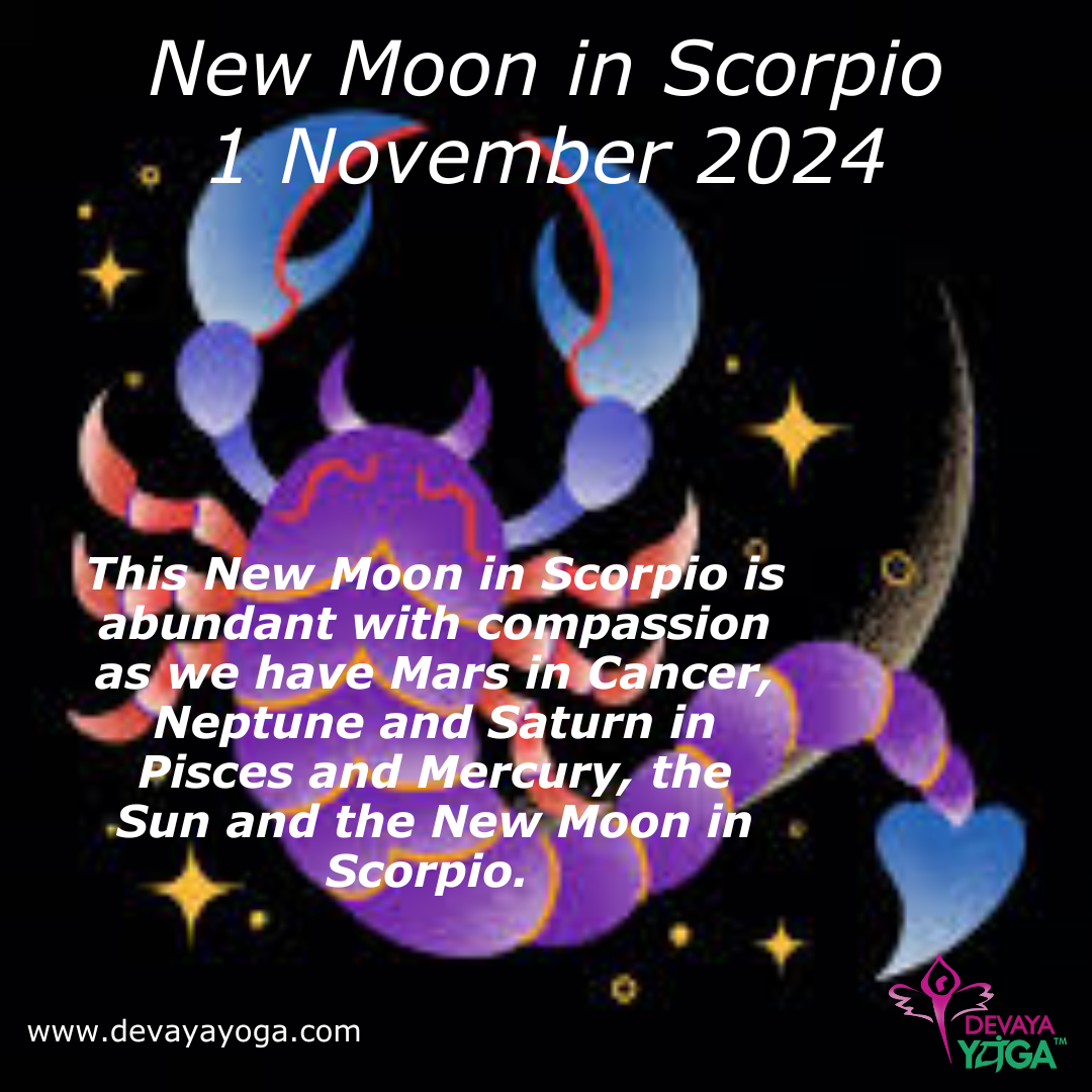 NEW MOON in SCORPIO 1 November 2024