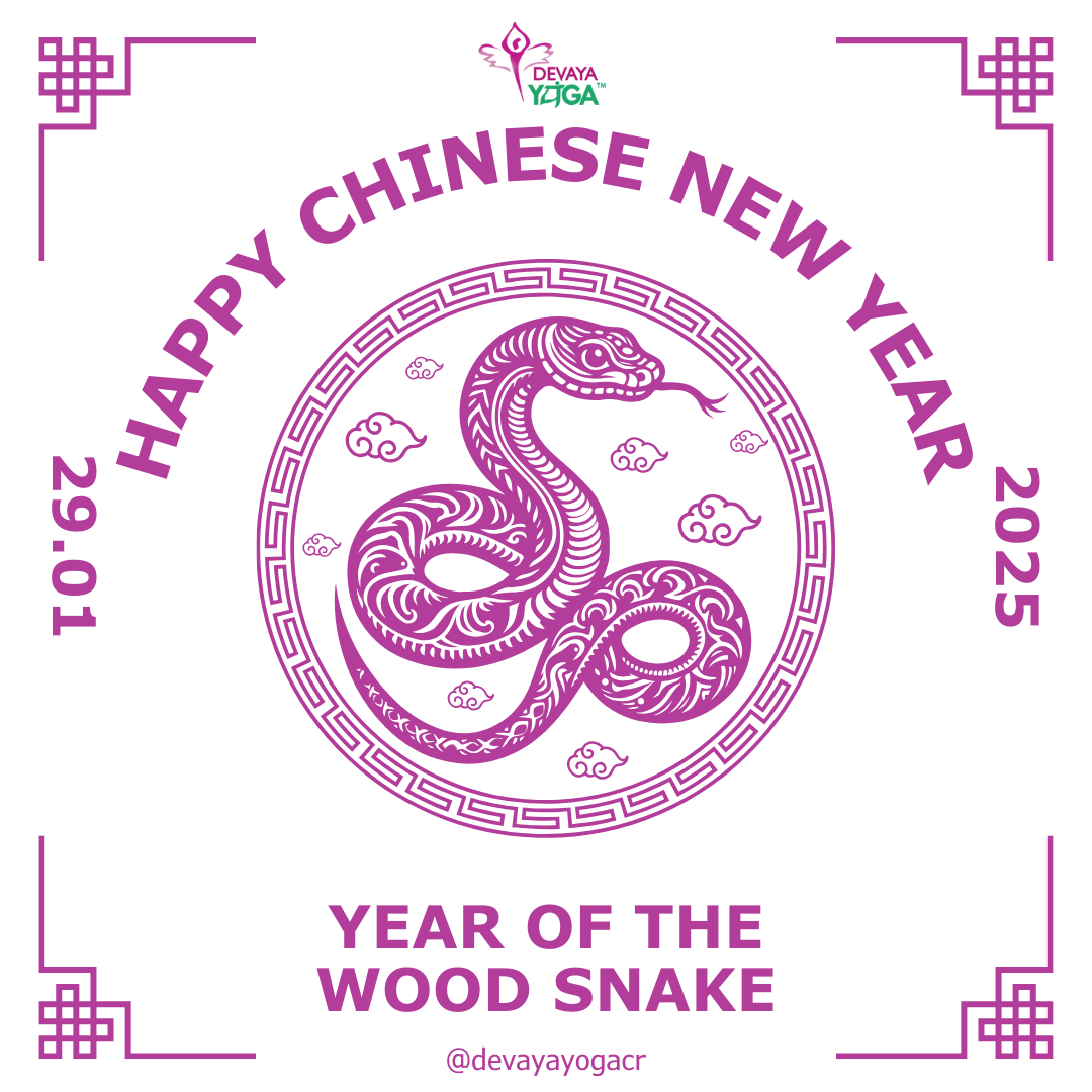 Happy Year of the Wood Snake 2025! 🐍✨